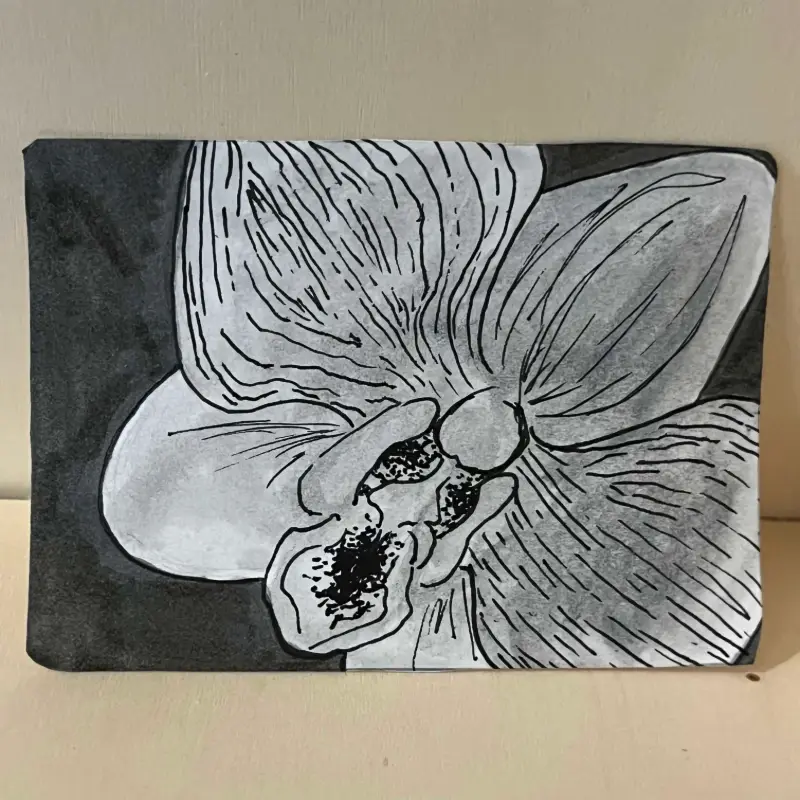 botanical orchid study aceo art card