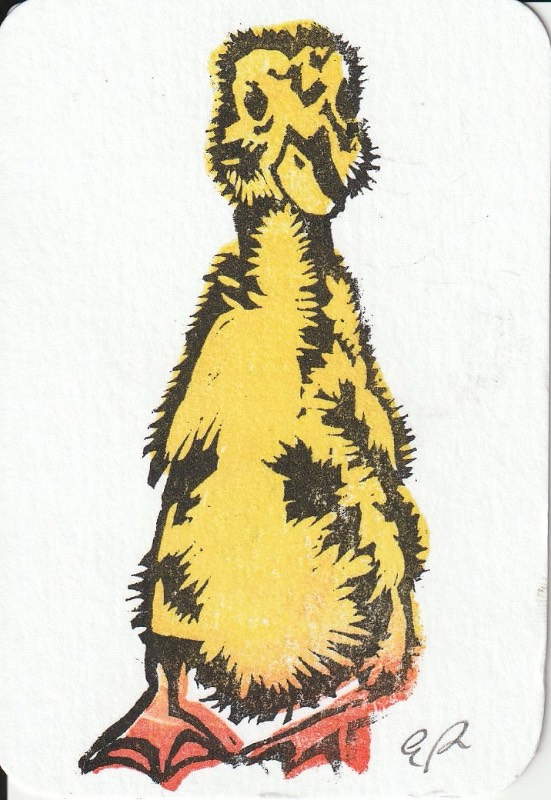 Duckling 2 aceo art card