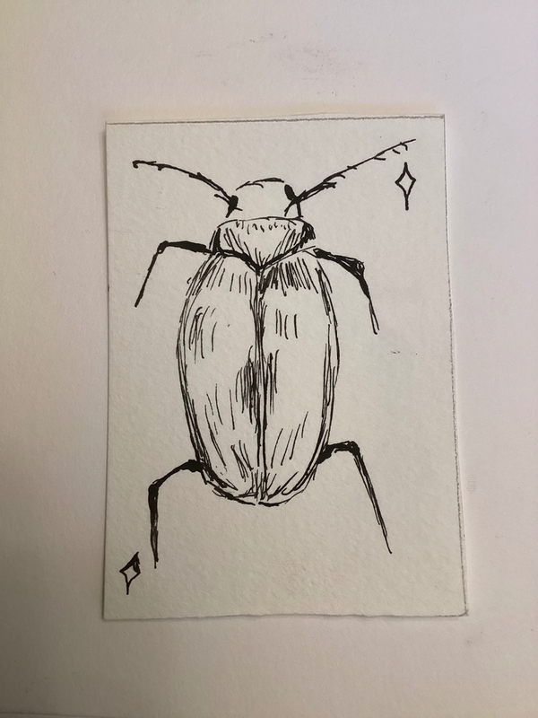 Beetle 1/4 aceo art card