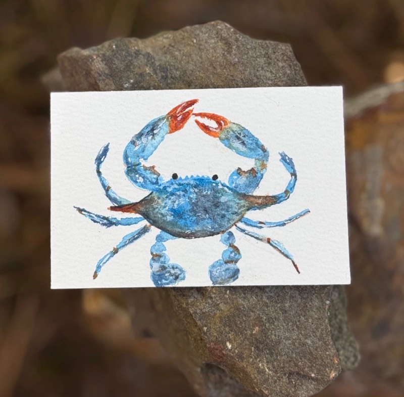 ACEO Watercolor Crab aceo art card