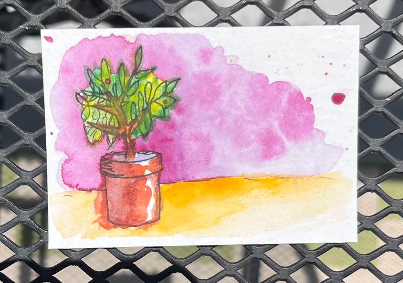 Potted Plant aceo art card