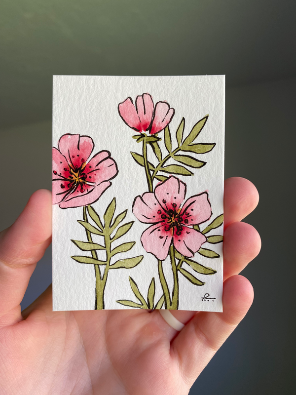 Pink Cosmos I - Original Watercolor by Reagan Tachiini aceo art card