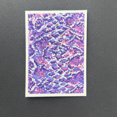 series i: ‘wild west color-blast’ || card iv: snakeskin aceo art card thumbnail 2