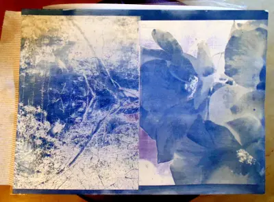Encaustic Rose Cyanotype Mixed Media ACEO in mat aceo art card thumbnail 4
