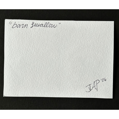 Barn Swallow aceo art card thumbnail 2