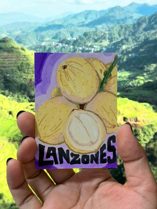 Lanzones aceo art card