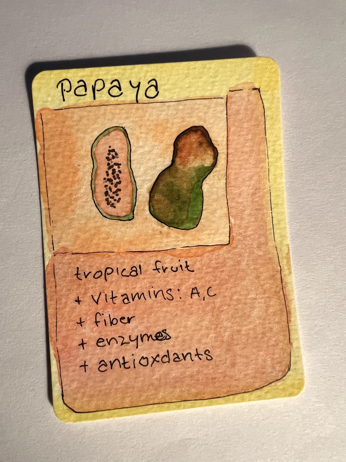 Papaya 4/99 aceo art card