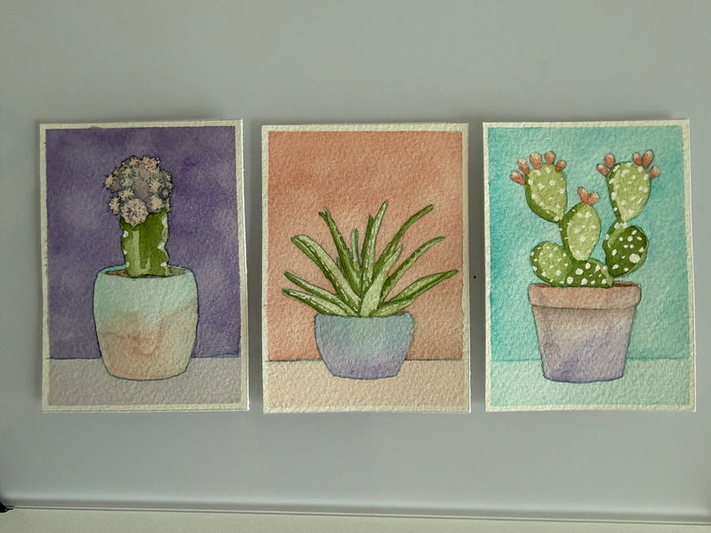 Succulent Trio bundle aceo art card