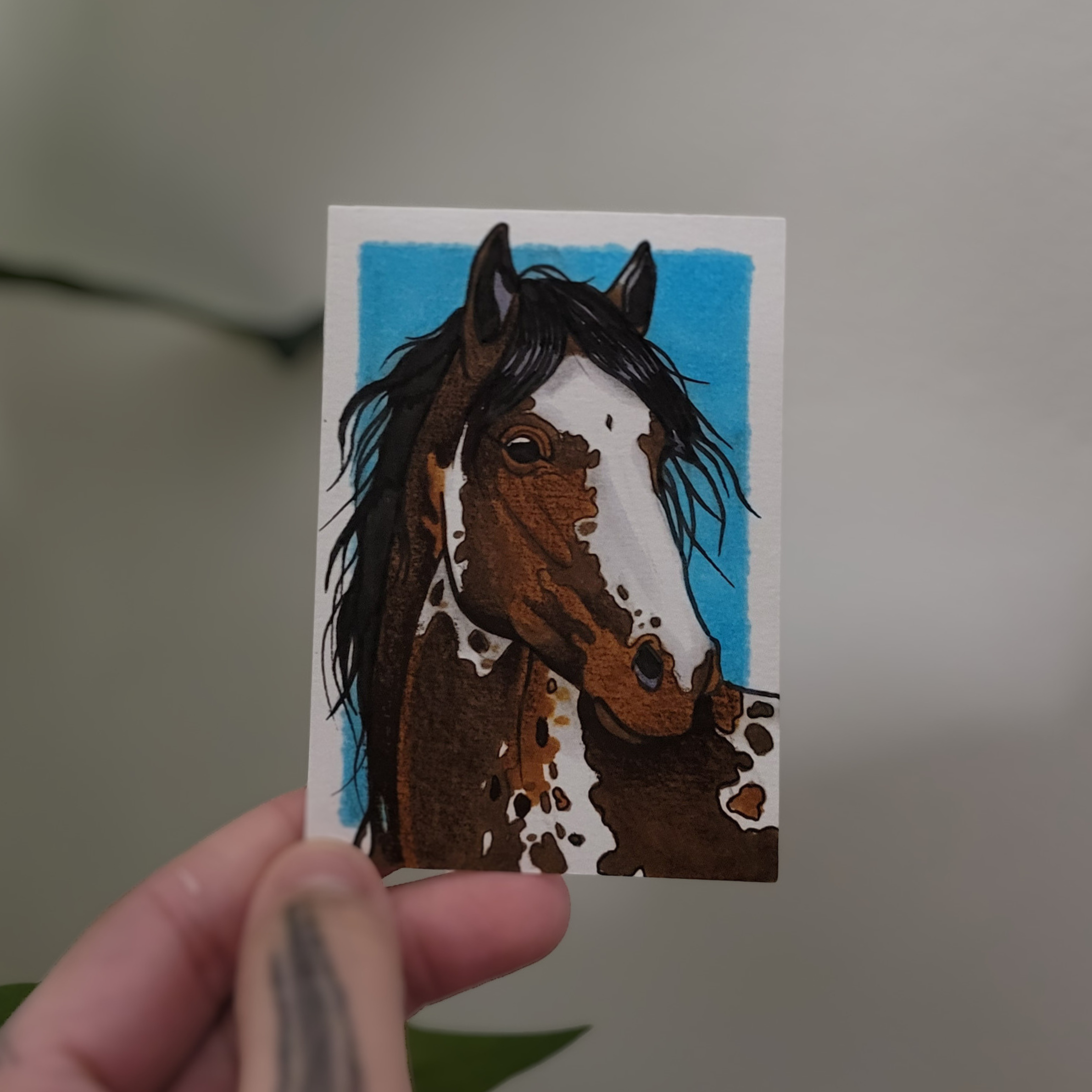 Spotted Horse aceo art card