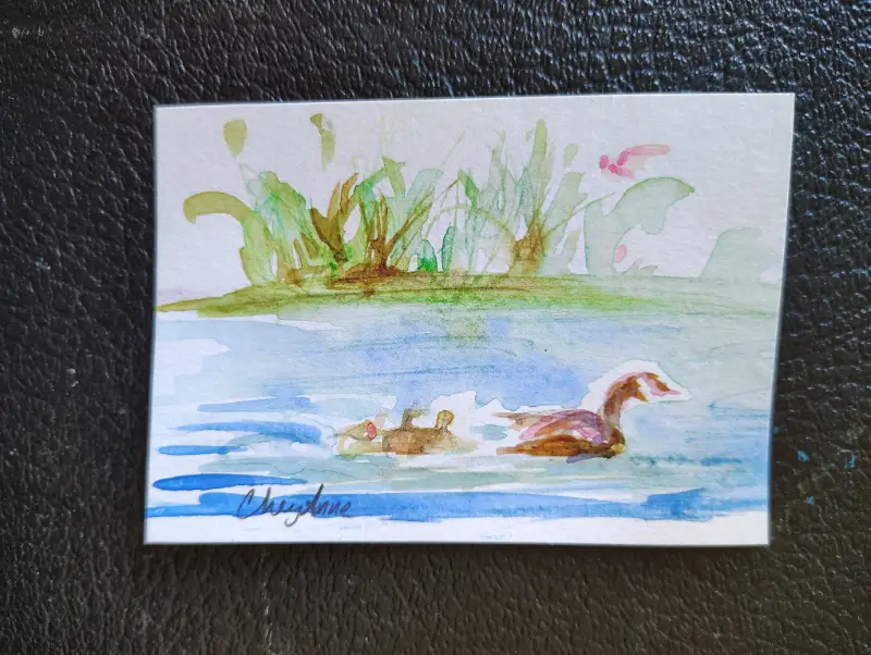 Wild Goose n Goslings WaterColour by CheyAnne aceo art card