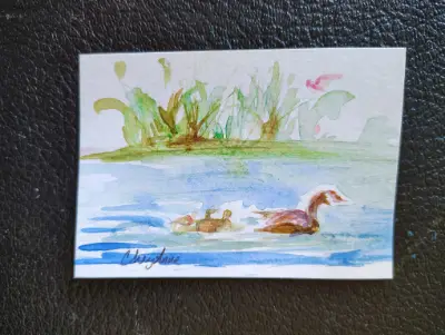 Wild Goose n Goslings WaterColour by CheyAnne aceo art card thumbnail 1