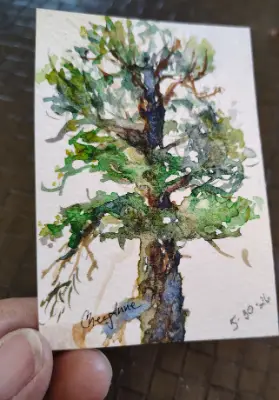 Ponderosa ACEO WaterColour art card by CheyAnne aceo art card thumbnail 1