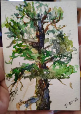 Ponderosa ACEO WaterColour art card by CheyAnne aceo art card thumbnail 2
