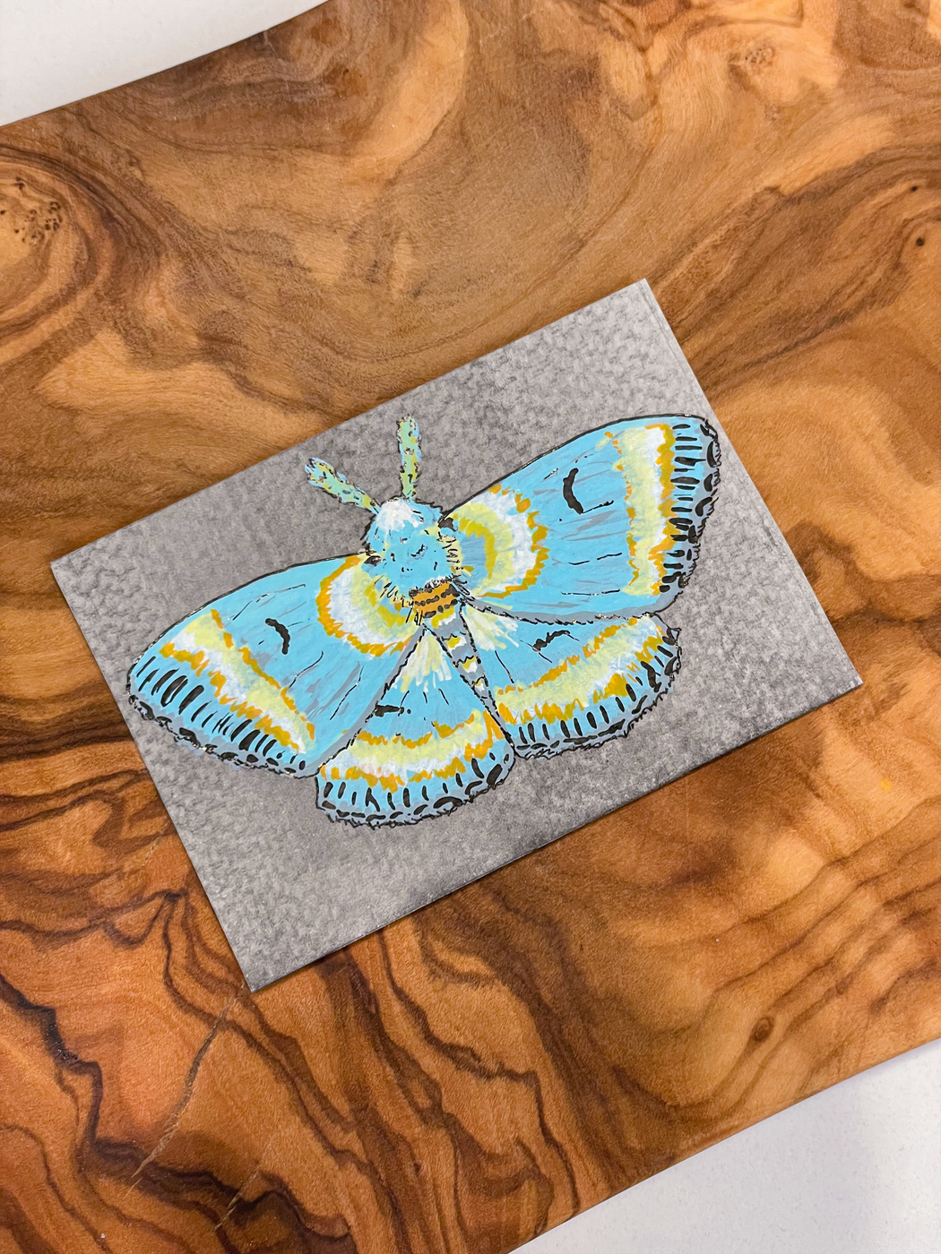 Moth Study - Blue 01 aceo art card