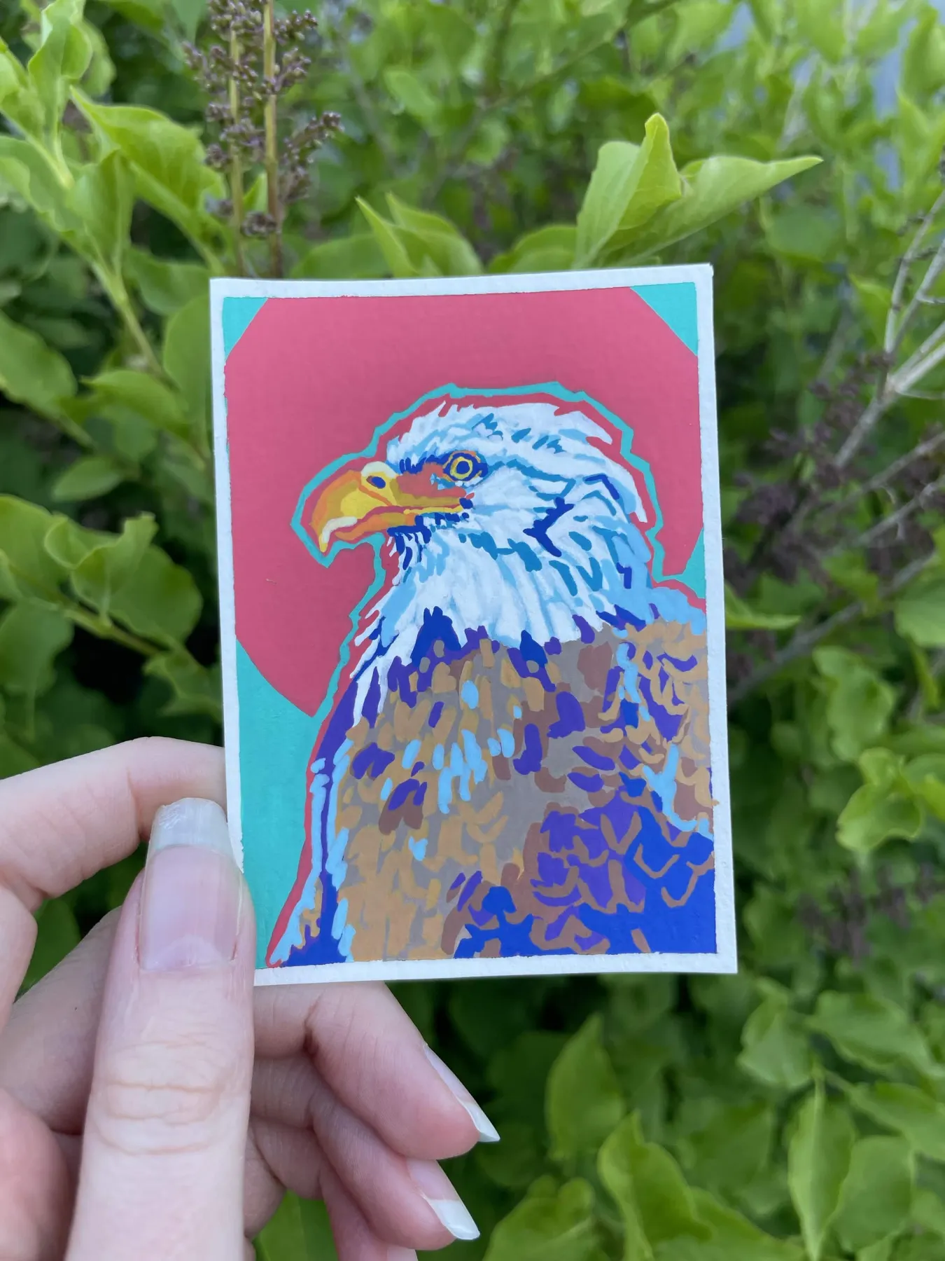 "Freedom" Bald Eagle aceo art card