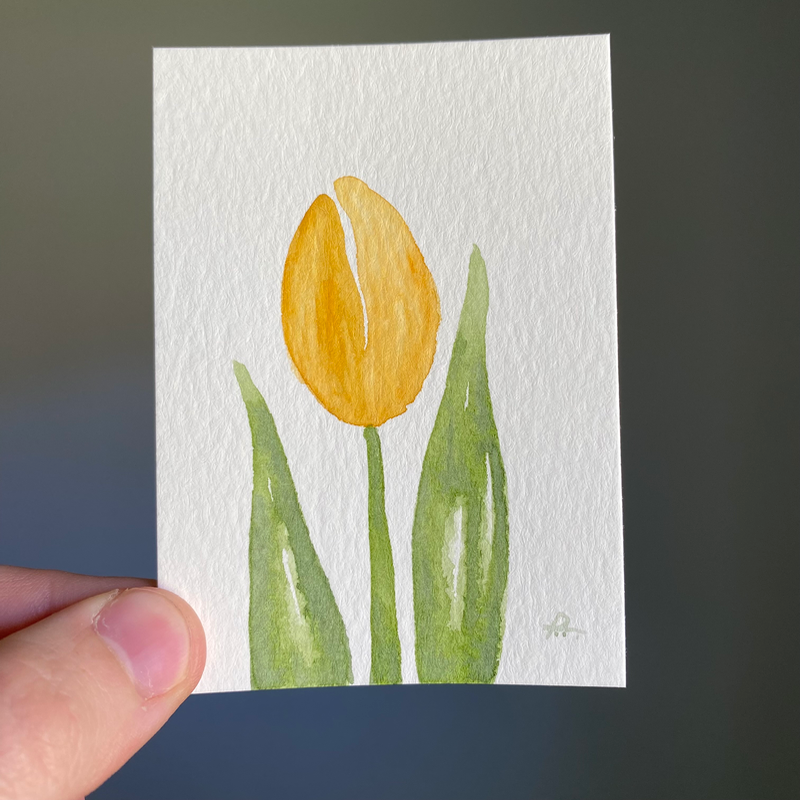 Yellow Tulip aceo art card