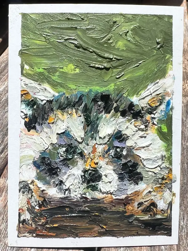 Woodland Racoon - #2 in woodland series aceo art card