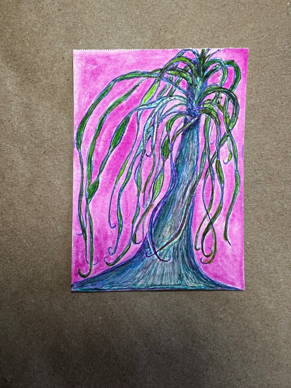 Tangled Ponytail Palm aceo art card