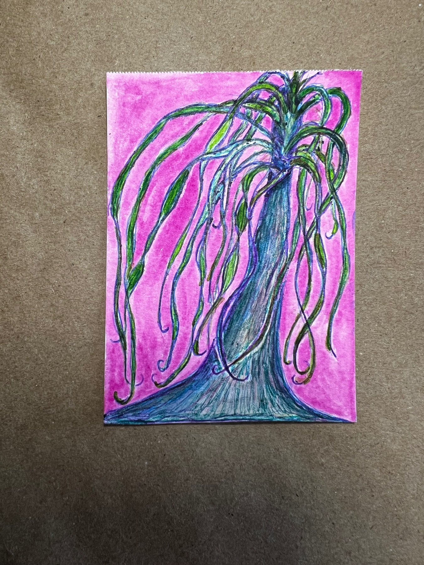 Tangled Ponytail Palm aceo art card