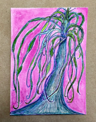 Tangled Ponytail Palm aceo art card thumbnail 2