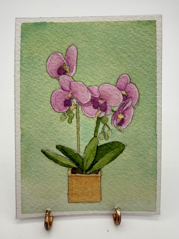 Pink Orchids aceo art card