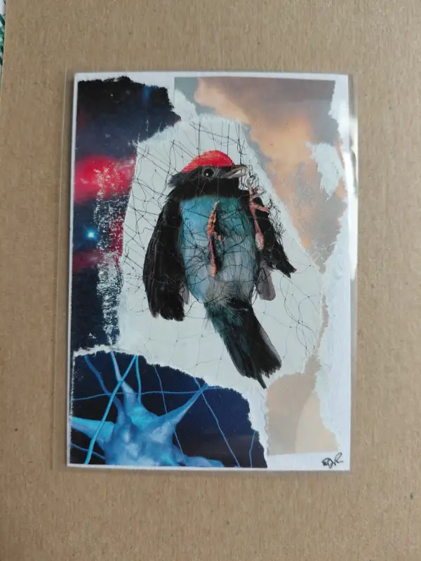 Ensnard bird aceo art card