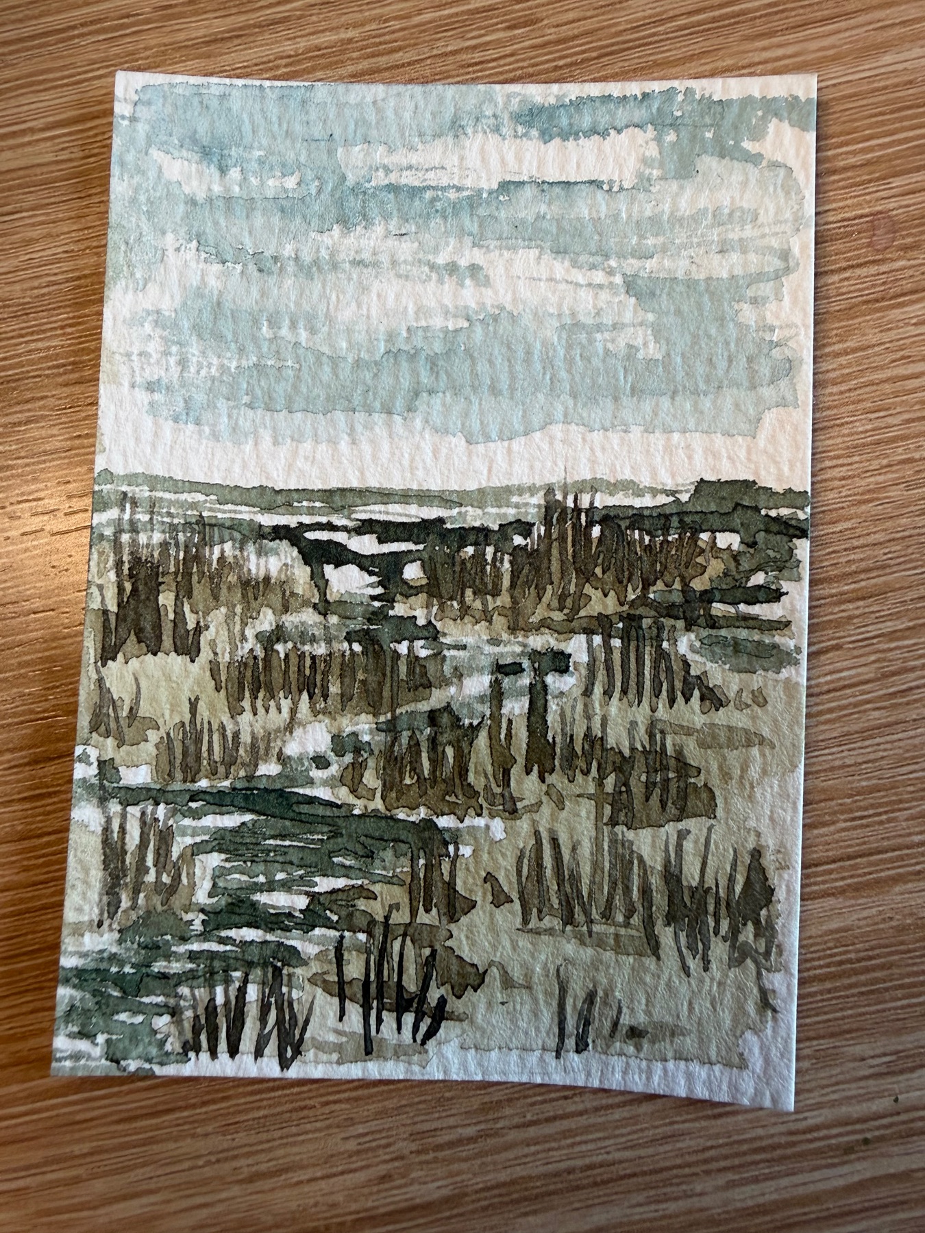 Low Country South aceo art card