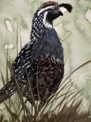 ACEO "California Quail" in Watercolor aceo art card thumbnail 1