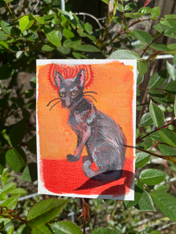 Black Cat Who Pays You No Mind aceo art card