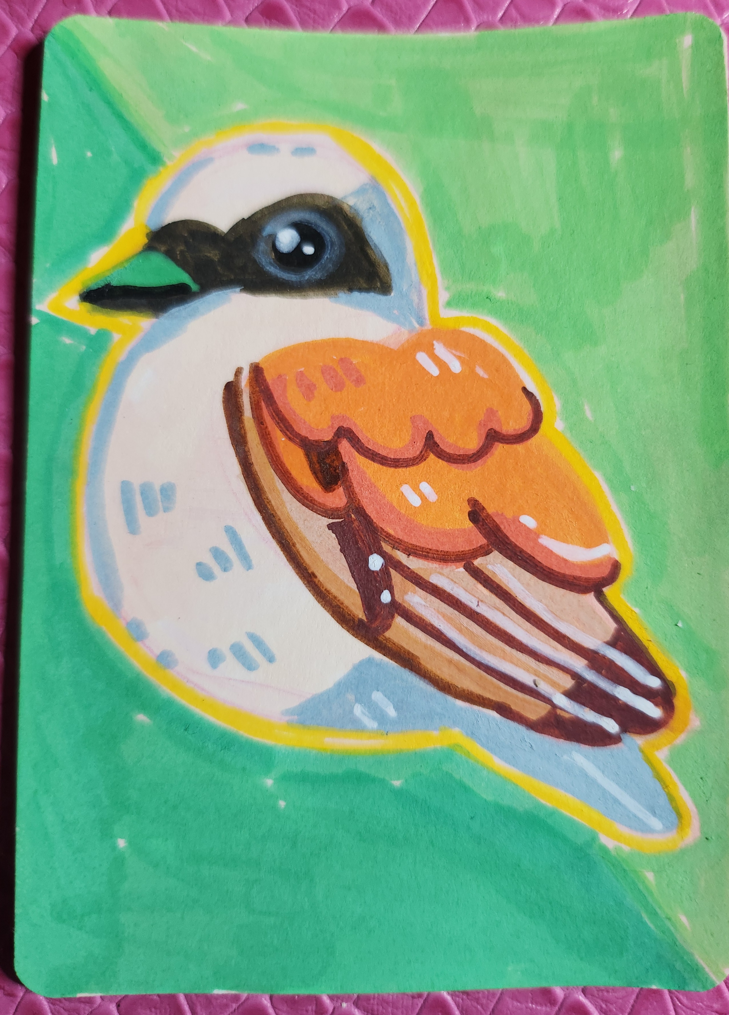 red backed shrike aceo art card
