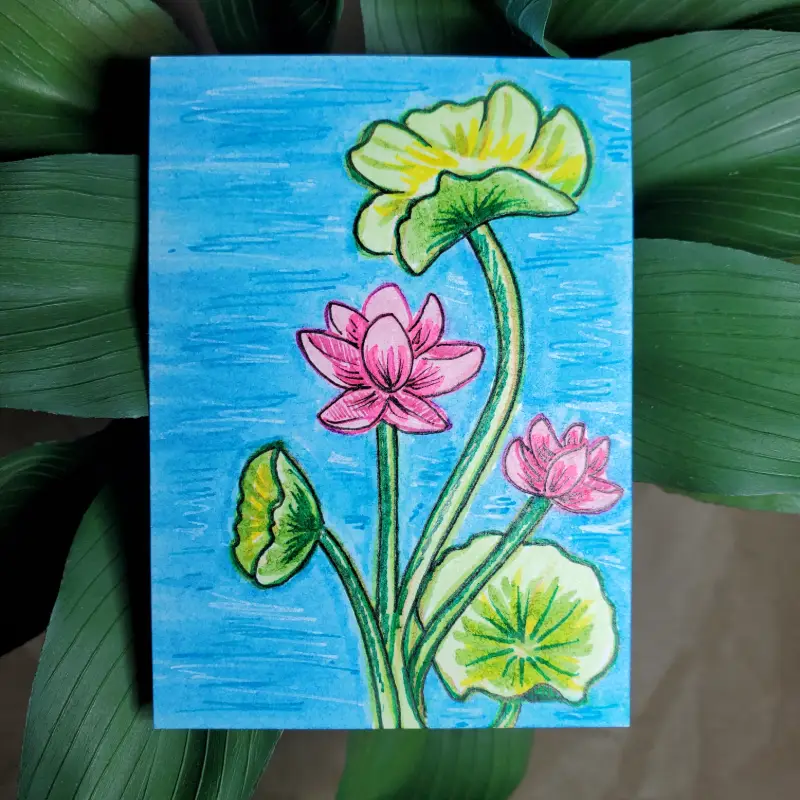 Lotus Flowers and Stems aceo art card
