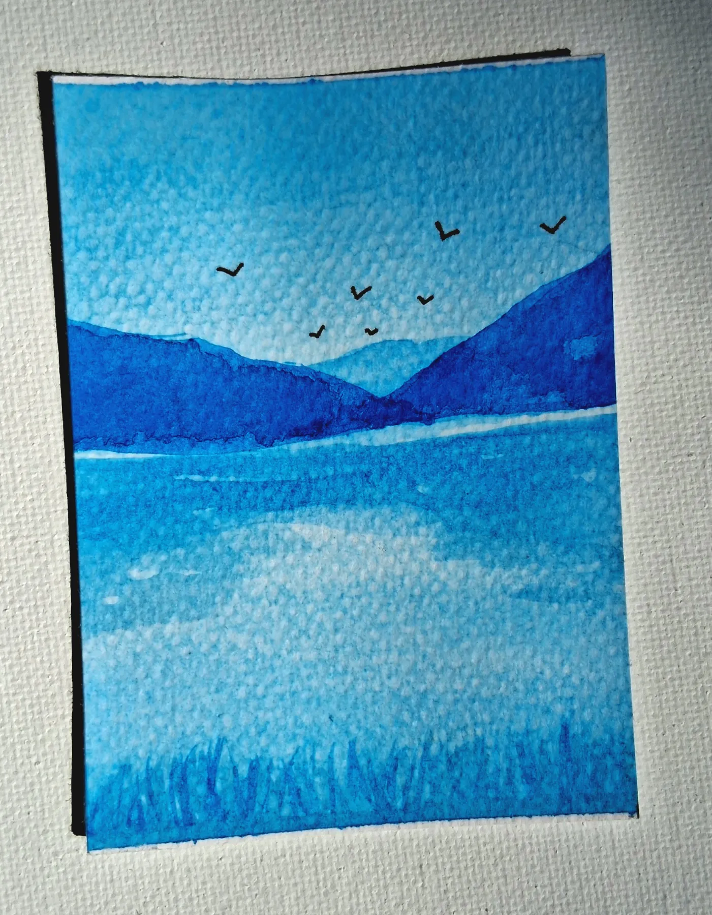 Blue Bay aceo art card