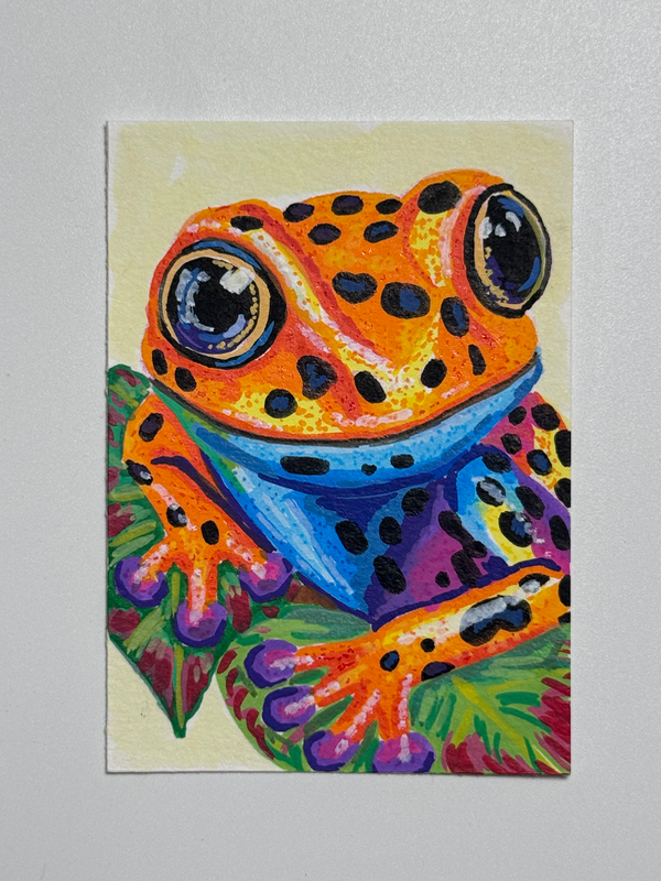 Poisonous frog aceo art card