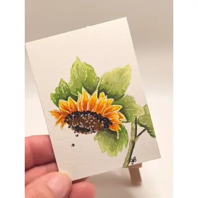 Sunflower 002 aceo art card thumbnail 2