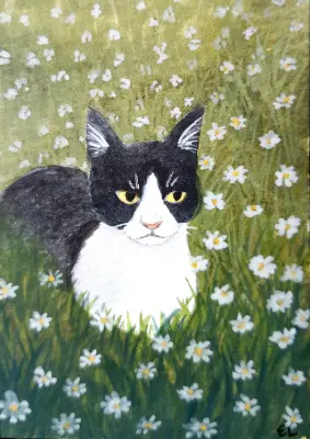 Tuxedo with Flowers aceo art card thumbnail 2
