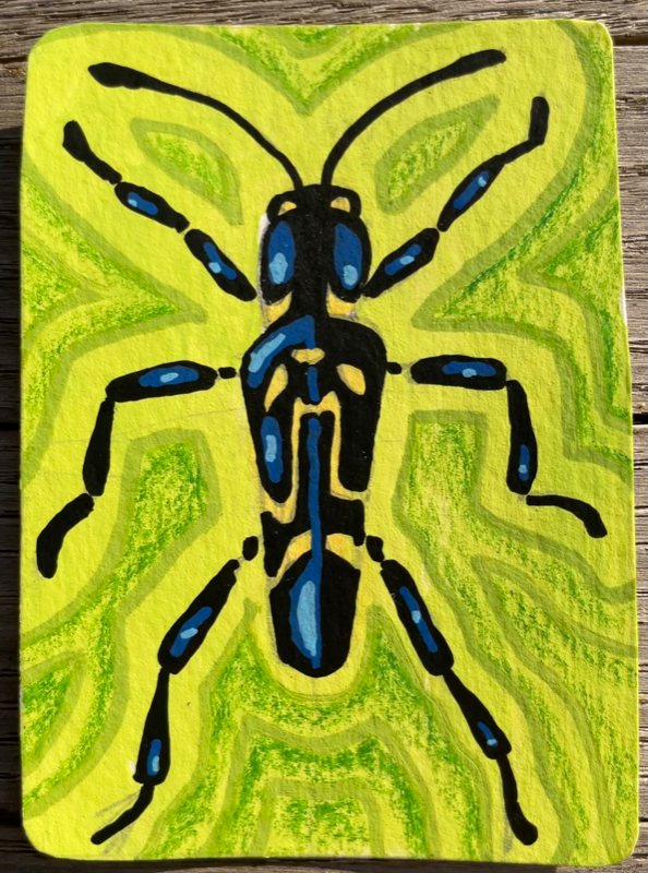 Wasp Beetle aceo art card