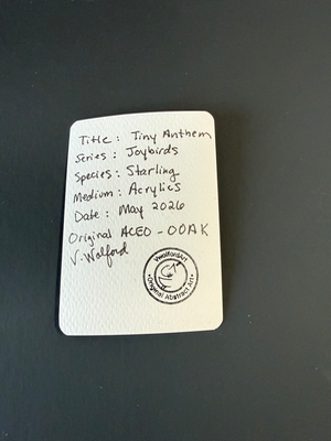 Tiny Anthem     Joybird Series aceo art card thumbnail 2