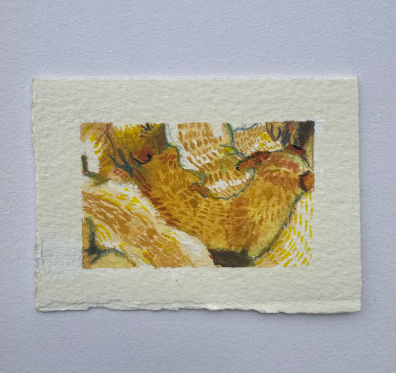 overpopulation aceo art card