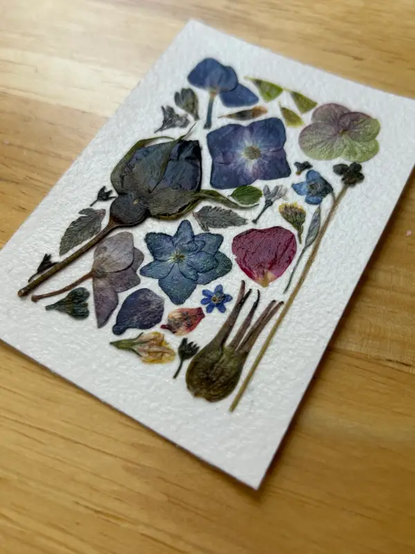 Pressed Flowers #7 aceo art card