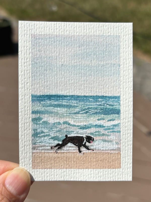 ACEO original, asbury park dog beach aceo art card