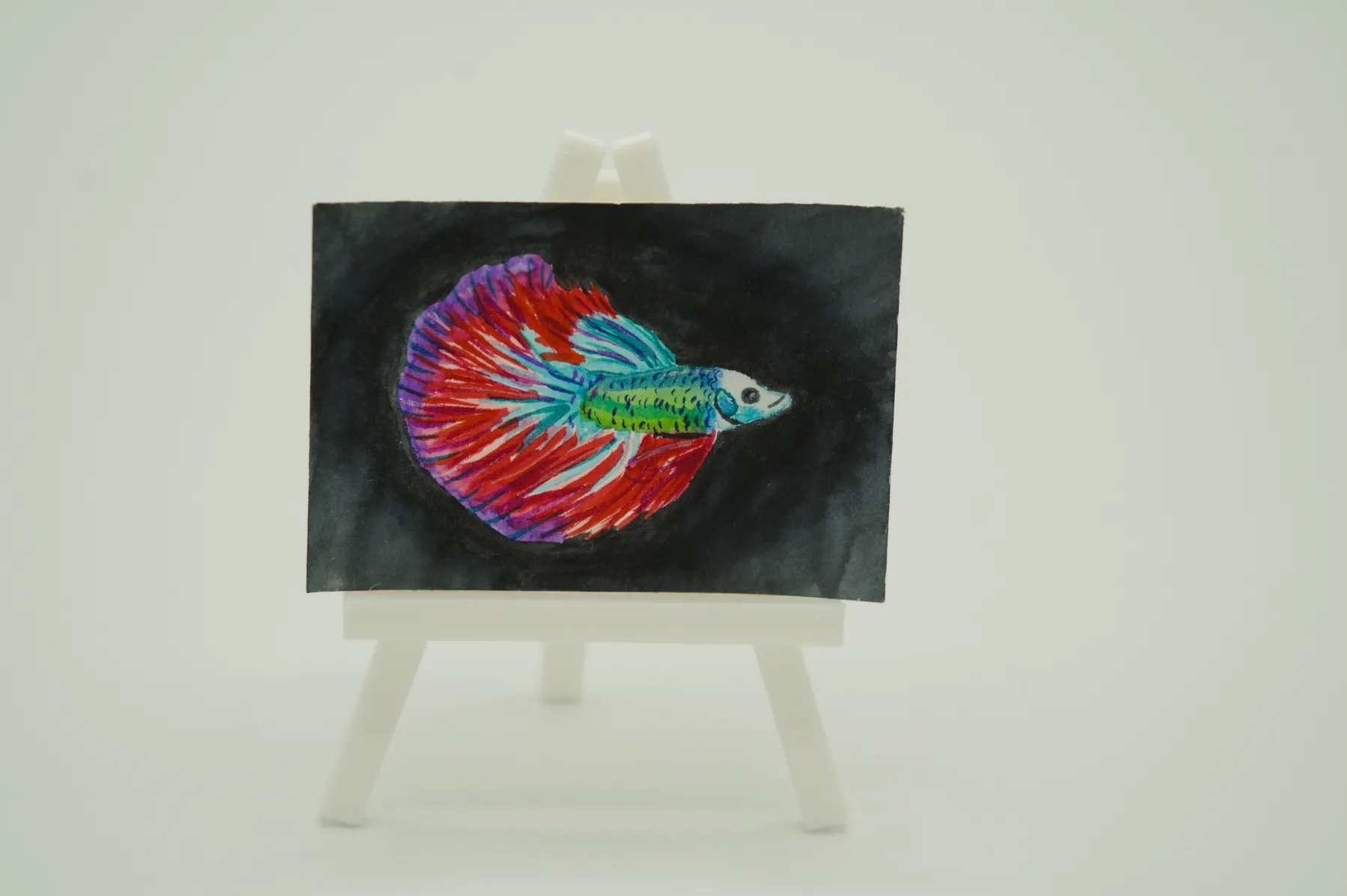 Beta aceo art card