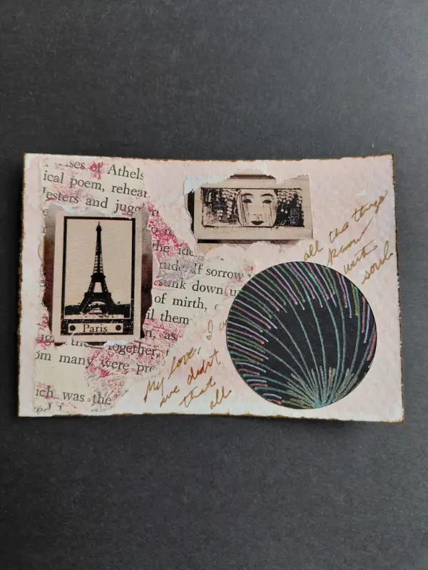 Not a dragonfly aceo art card