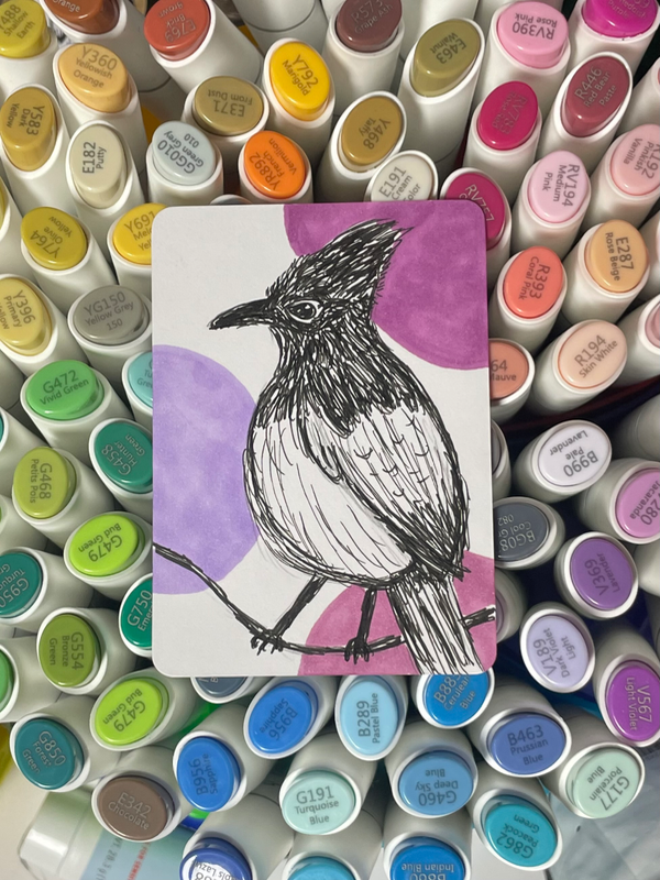 Scribble Bird aceo art card