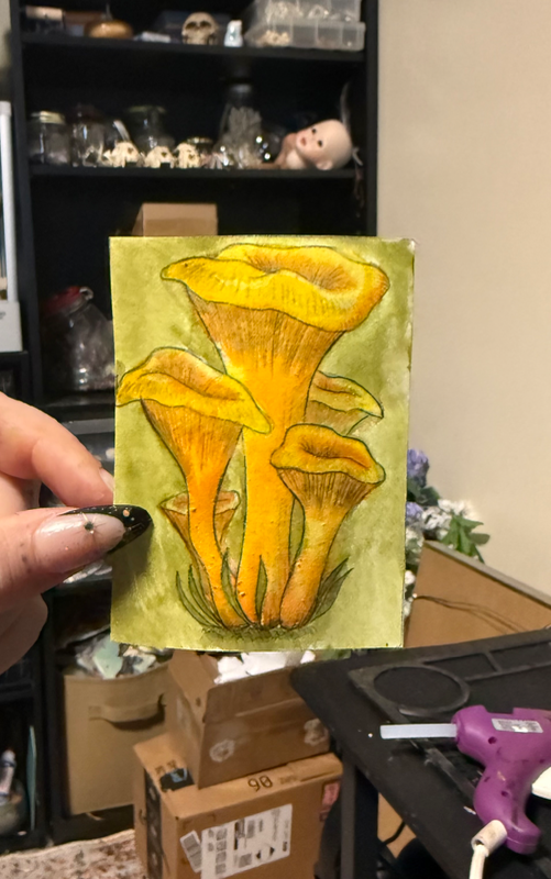 Mushroom aceo art card