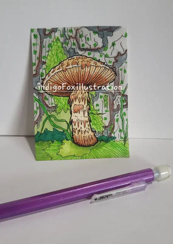 ☘ Pholiota Squarrosa Mushroom ☘ N.05 - indigoFoxillustration - botanical plant fungus pen ink aceo art card