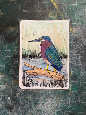 Green Heron aceo art card thumbnail 1