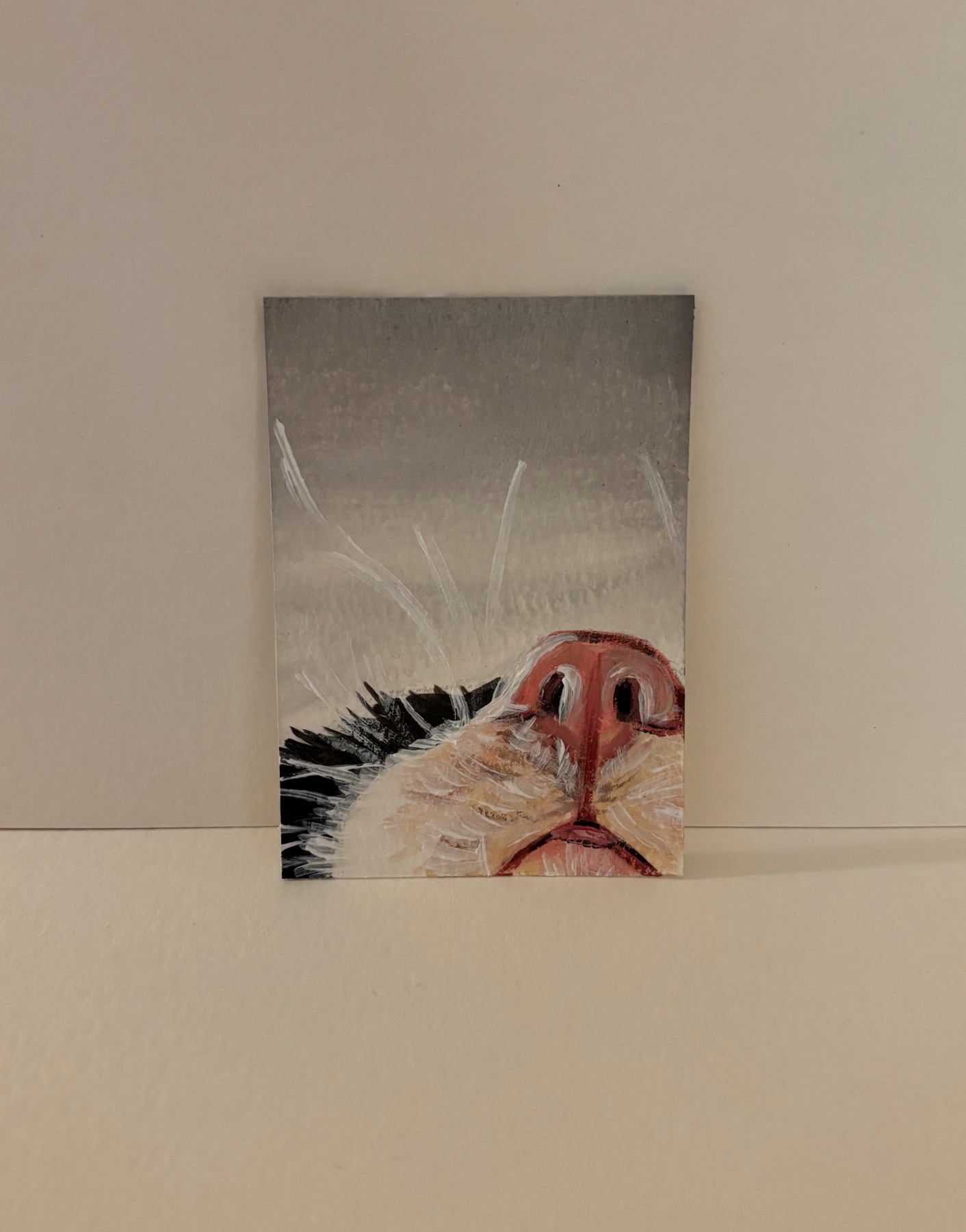 Cat Snoot aceo art card