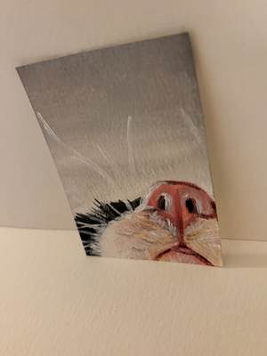 Cat Snoot aceo art card thumbnail 2