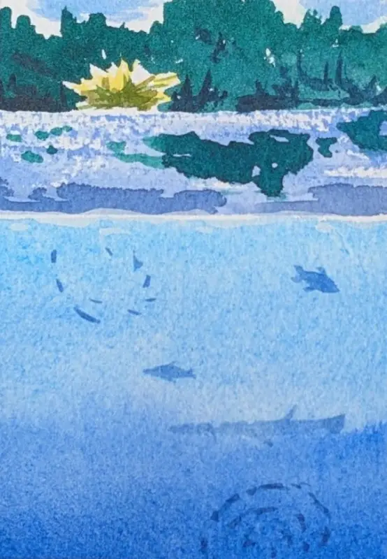 Florida Springs #5 aceo art card