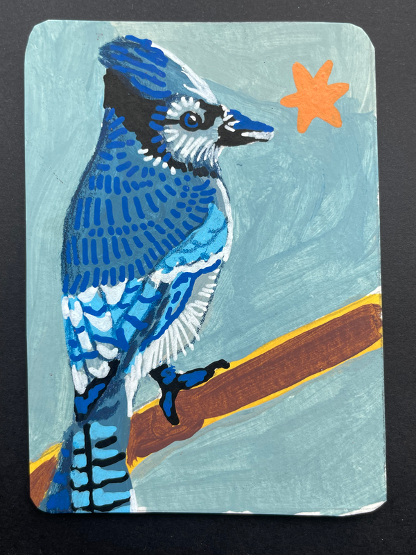 Blue Jay portrait- “blu cheese” - original by Norah Mae aceo art card